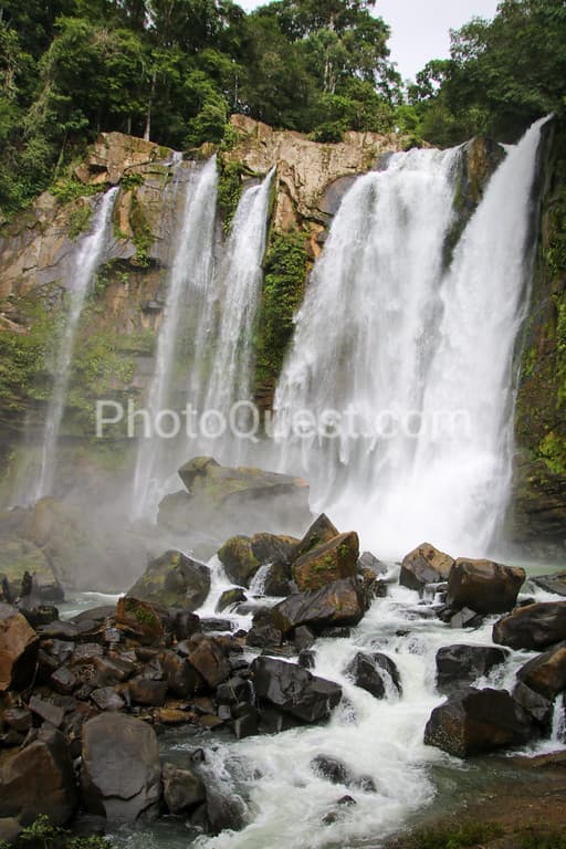 Great photos and videos please visit https://www.wildphotography.com #WildPhotography