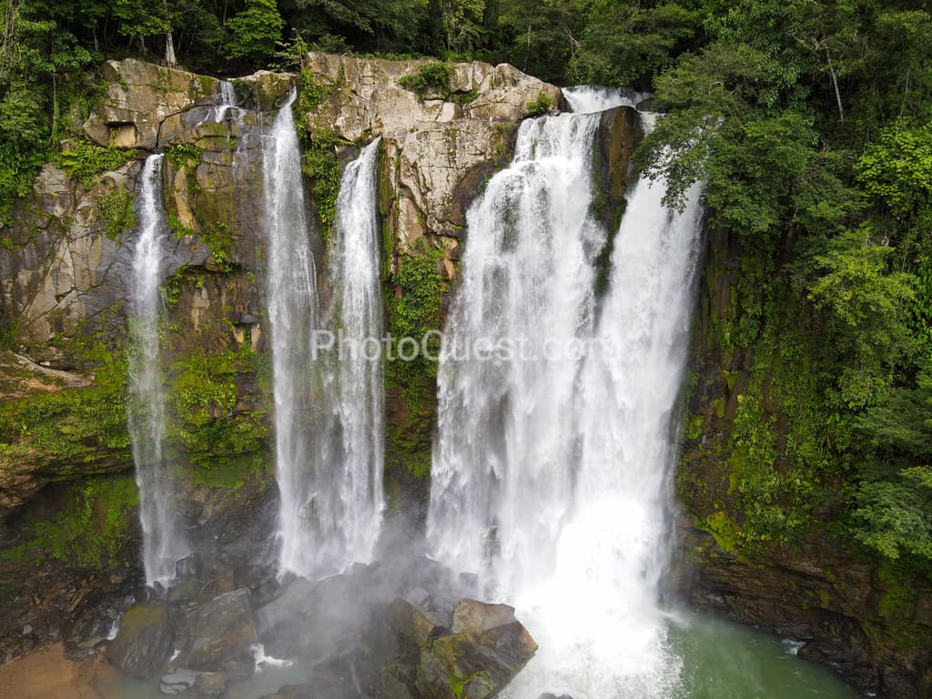 Great photos and videos please visit https://www.wildphotography.com #WildPhotography