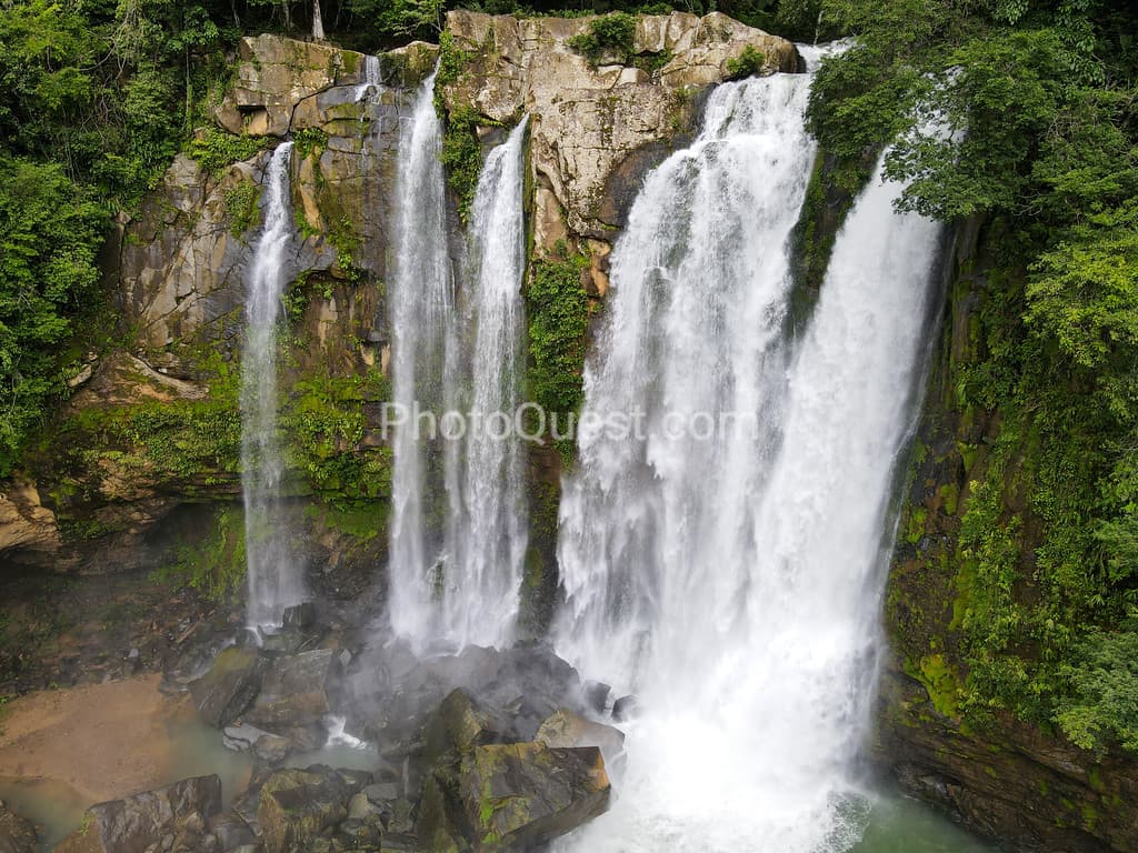 Great photos and videos please visit https://www.wildphotography.com #WildPhotography