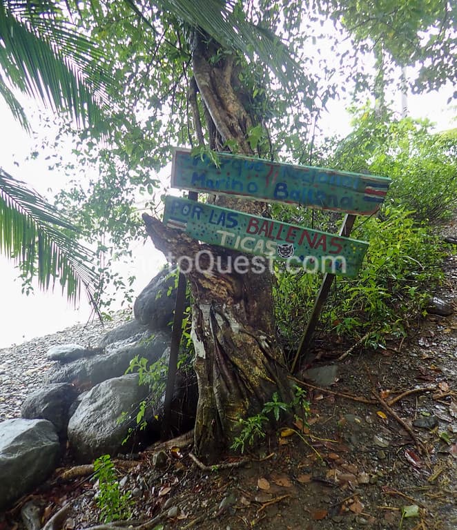 Dominical and Uvita in Costa Rica