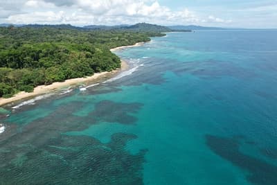 Caribbean Coast of Limon in Costa Rica -aerial views of Cocles, Punta Uva, Playa Chiquita and Puerto Viejo