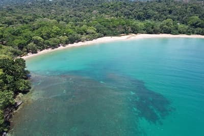 Caribbean Coast of Limon in Costa Rica -aerial views of Cocles, Punta Uva, Playa Chiquita and Puerto Viejo