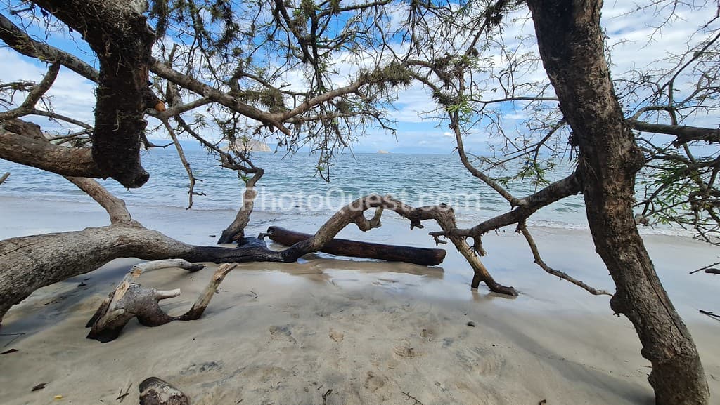 Santa Teresa beach photo