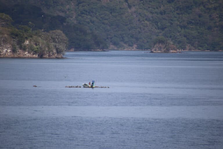 Fishermen and Pelicans in Tranquil Tropical Waters | Natural Costa Rica