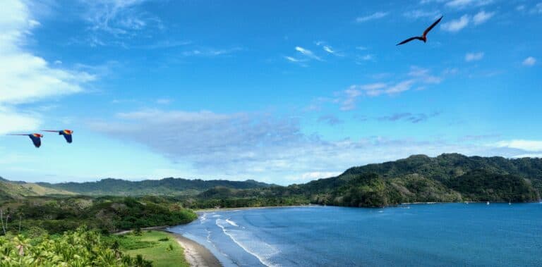 Coastal paradise with parrots in flight | Natural Costa Rica