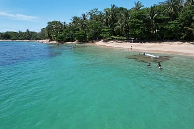 Caribbean Coast of Limon in Costa Rica -aerial views of Cocles, Punta Uva, Playa Chiquita and Puerto Viejo