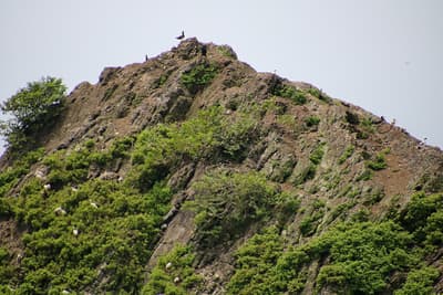 Dominical and Uvita in Costa Rica