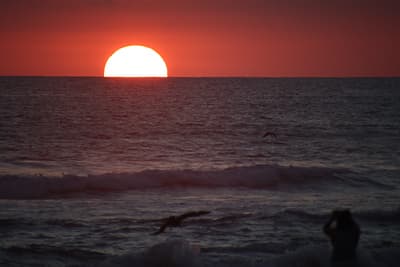 Magical Sunset with Pelicans in the air in Costa Rica