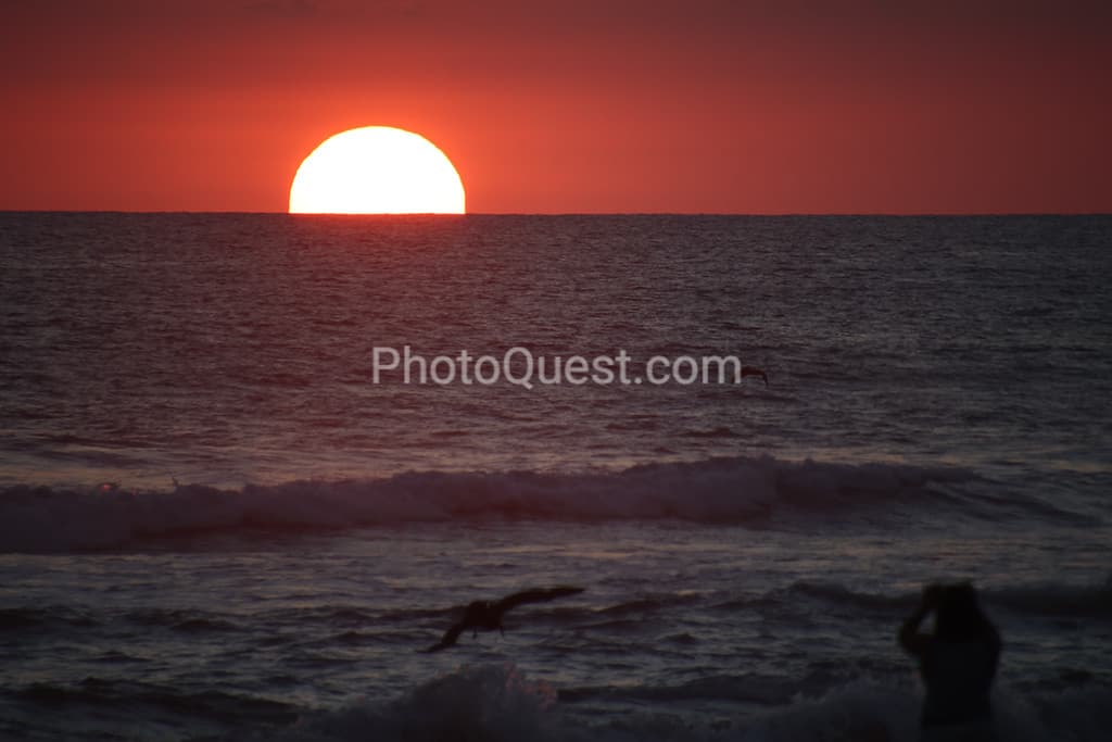 Magical Sunset with Pelicans in the air in Costa Rica