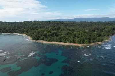 Caribbean Coast of Limon in Costa Rica -aerial views of Cocles, Punta Uva, Playa Chiquita and Puerto Viejo